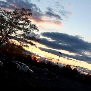 Meet your Posher, Sandy